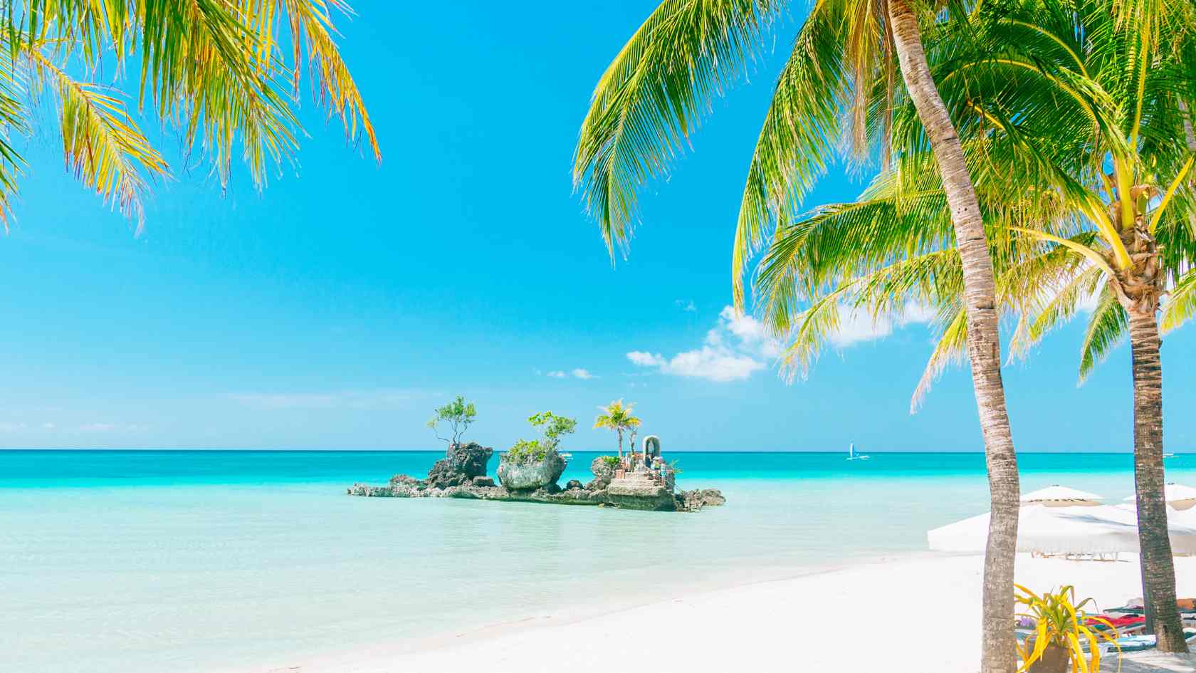 Palm trees and white sand on a tropical holiday beach